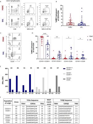 MR1-Restricted MAIT Cells From The Human Lung Mucosal Surface Have Distinct Phenotypic, Functional, and Transcriptomic Features That Are Preserved in HIV Infection